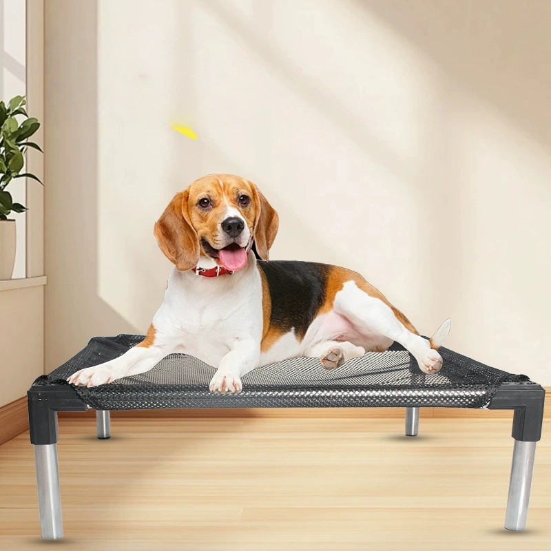 Cooling Elevated Dog Bed - Rai - đánh giá và giá Outdoor Camping Cot