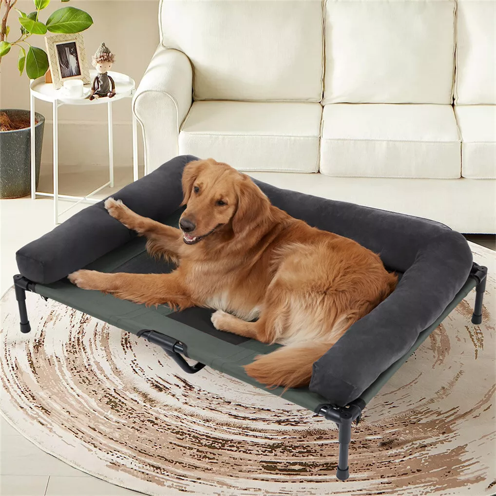 BINGOPAW Outdoor Dog Bed Eleva - đánh giá và giá Outdoor Camping Cot