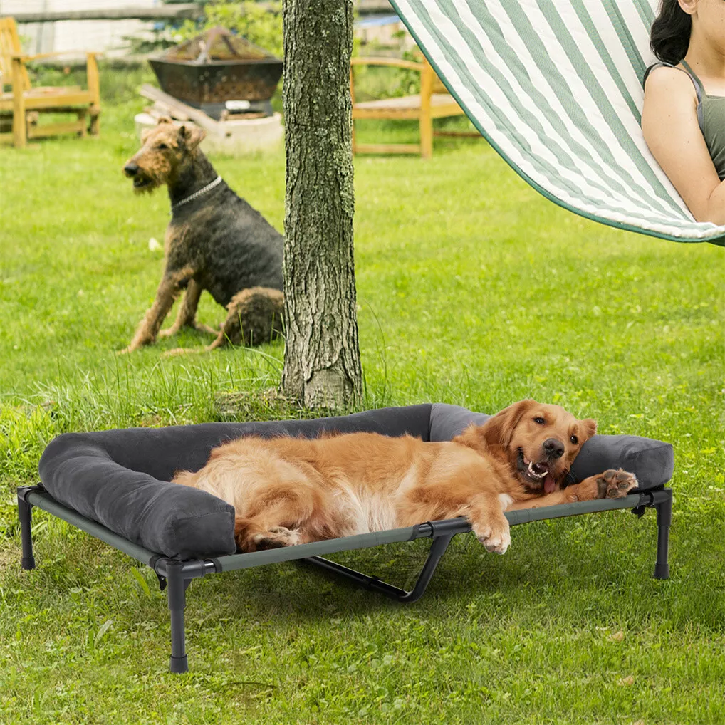 BINGOPAW Outdoor Dog Bed Eleva - đánh giá và giá Outdoor Camping Cot
