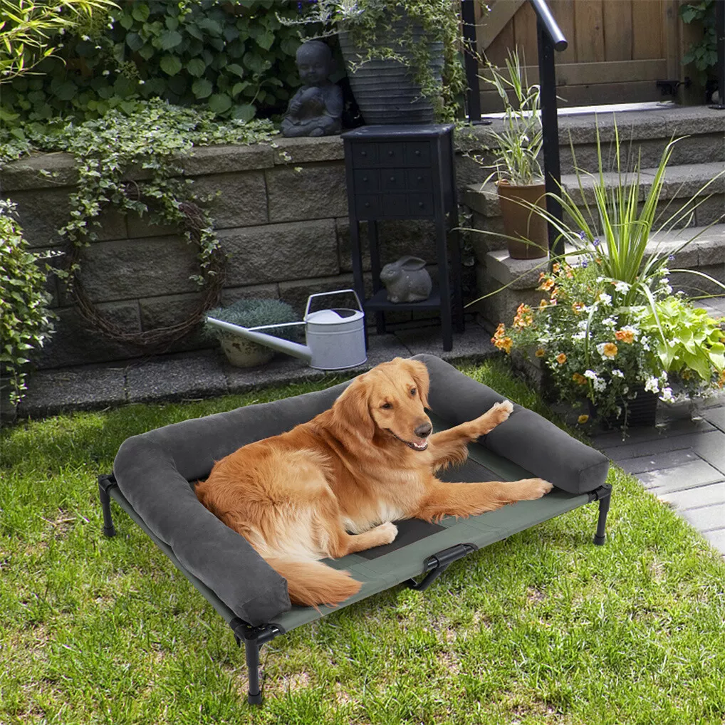 BINGOPAW Outdoor Dog Bed Eleva - đánh giá và giá Outdoor Camping Cot